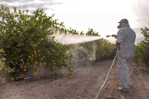 Alhambra, CA Pest Control Company